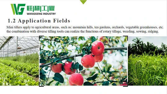 wanggeng mini tiller application